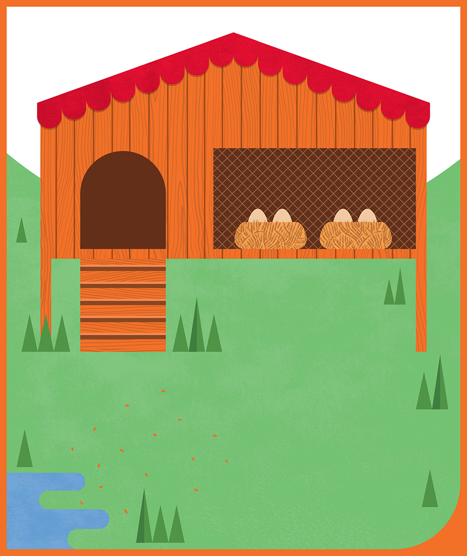 Coop Illustration Coop Illustration